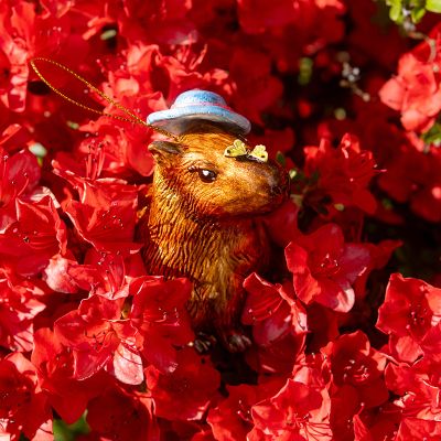 Елочная игрушка Капибара летняя